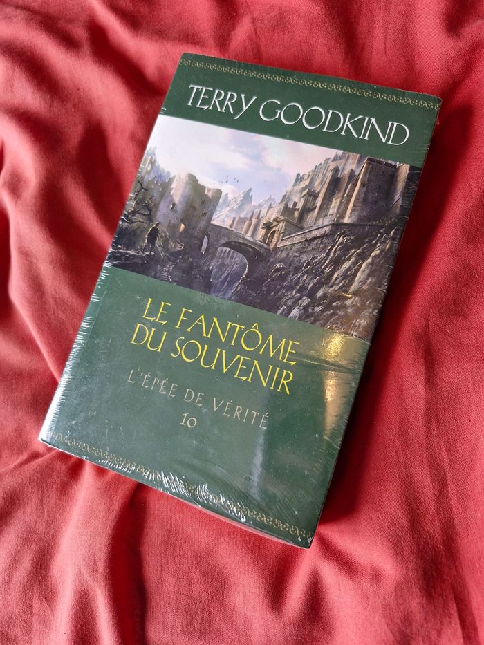 Saga L'épée de vérité ou Legend of the seeker - photo numéro 6