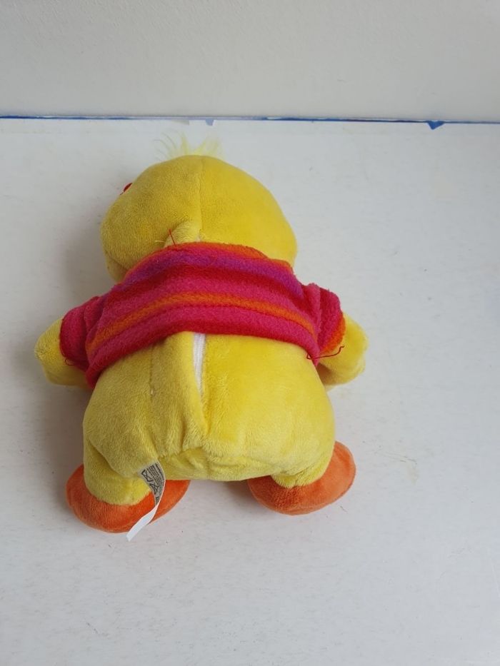 Canard sonore - photo numéro 2