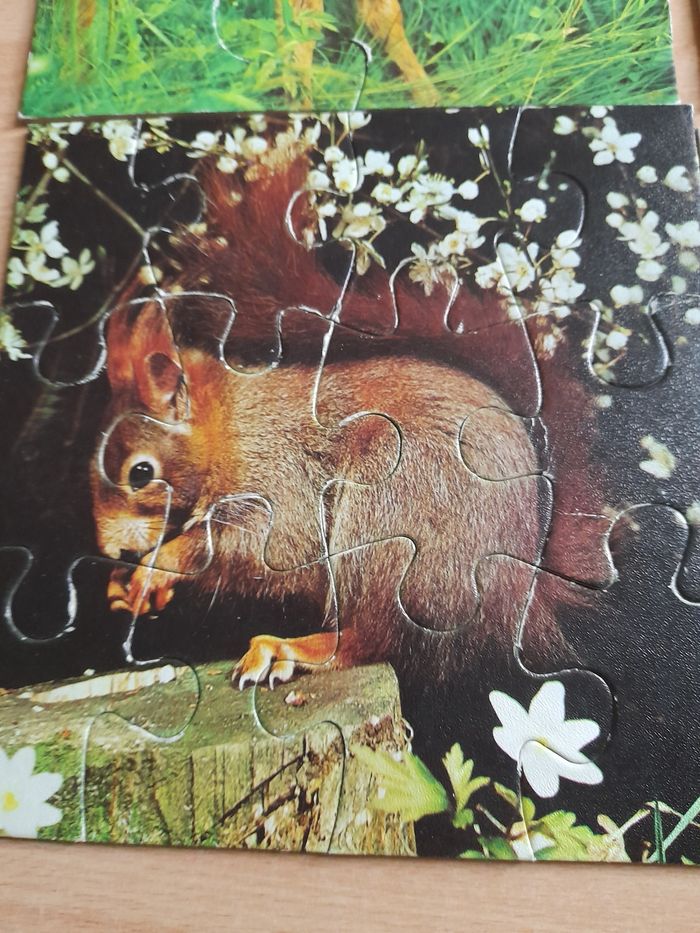 Mini puzzles animaux - photo numéro 4