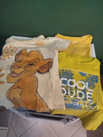 Lot tee shirt 3ans
