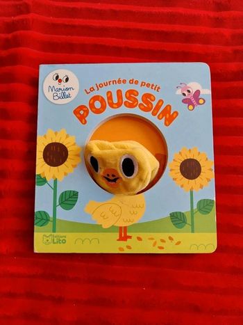 Livre la journée de petit poussin