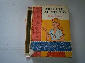 Livre Mouche au studio  -Bibliothéque Rose