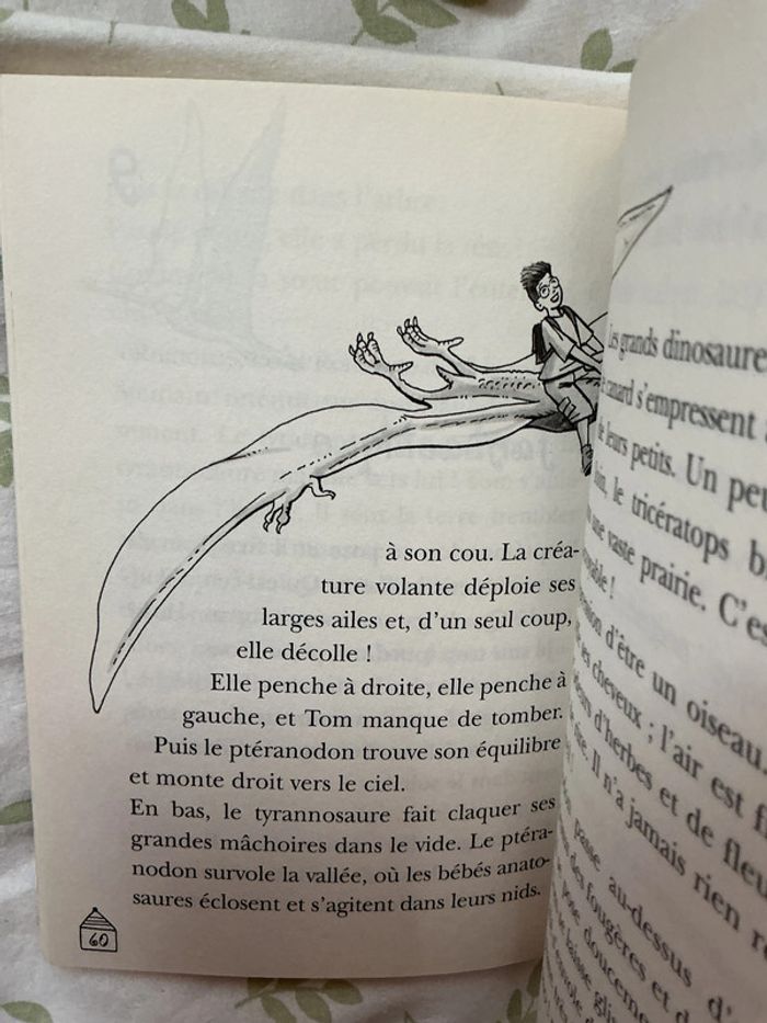 livre la cabane magique tome 1 la vallée des dinosaures - photo numéro 5