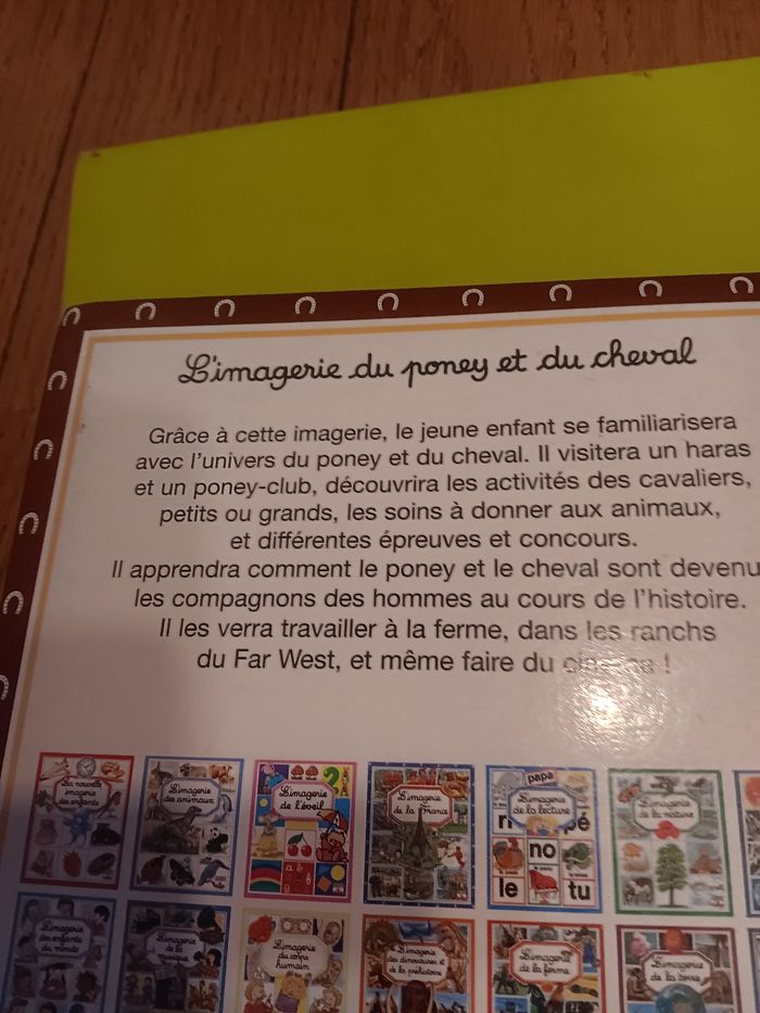 Imagerie du cheval et du poney - photo numéro 4