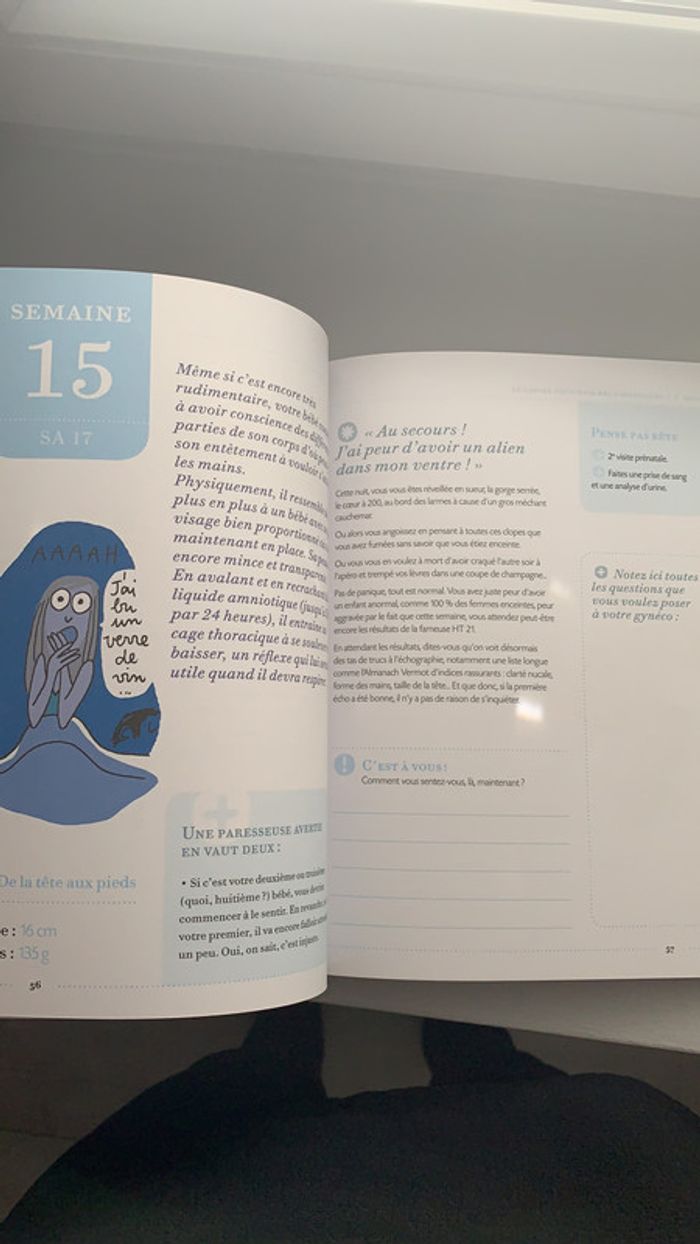 Le cahier de grossesse des paresseuses - photo numéro 6