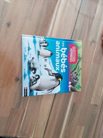 Livre les bébés animaux