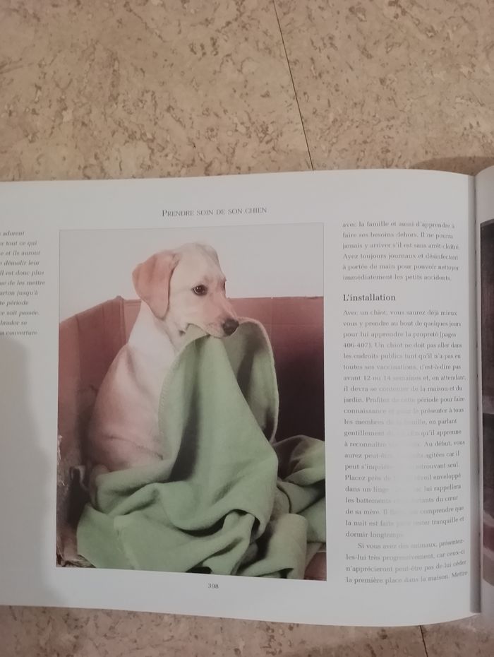 Encyclopédie des chiens - photo numéro 9