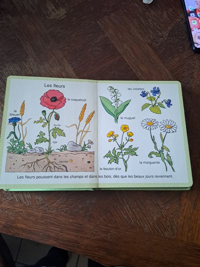 Livre - photo numéro 10