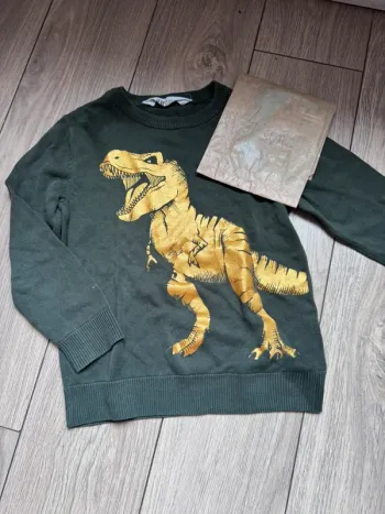 Pull garçon dinosaure