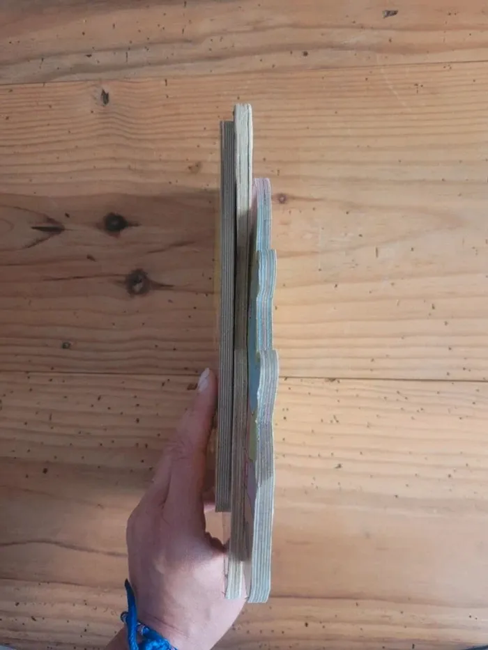 Lot de 3 livres enfants cartonnés - photo numéro 2