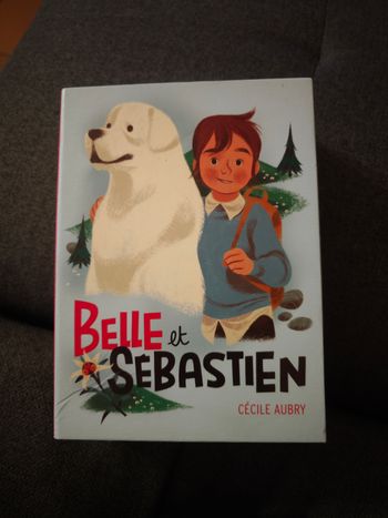 Coffret Belle et Sébastien