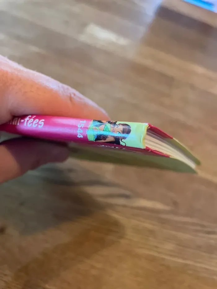 Livre La bibliothèque Rose Winx Club Numéro 14 Le mini village des mini fées - photo numéro 9