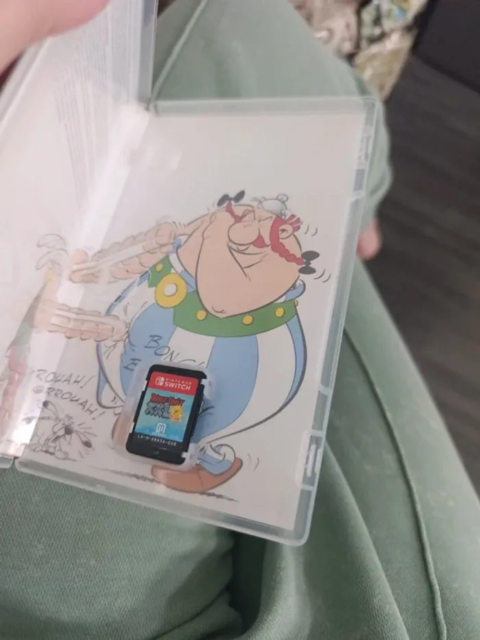 Jeu switch Astérix - photo numéro 2