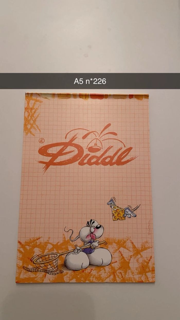 Feuille diddl A5 - photo numéro 8
