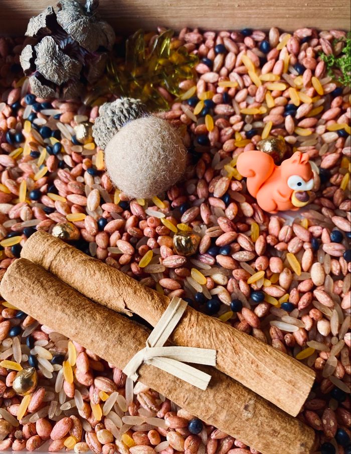 🍂Kit Montessori bac univers sensoriel – Thème Forêt automnale
