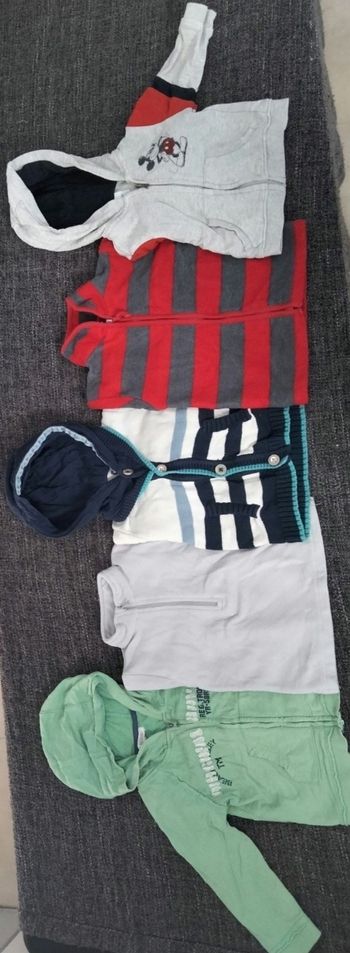 Pulls 12 mois capuches et sans capuches