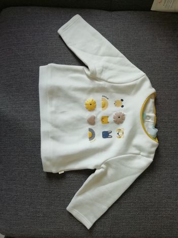 Pull en coton bio