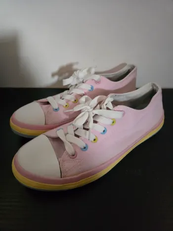 basket rose Merry scott