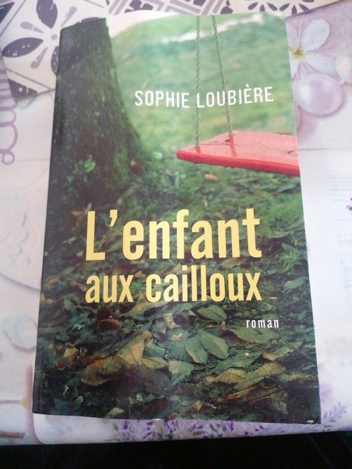 Roman l'enfant aux cailloux