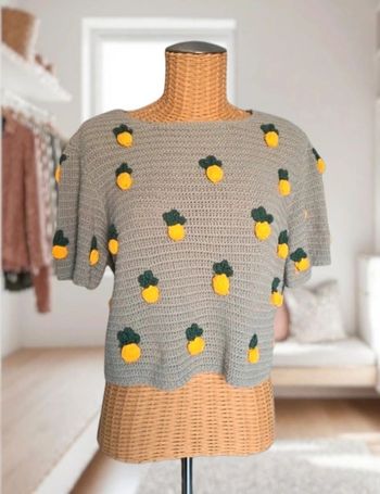 Pull gris avec ananas en relief en crochet- Zara - taille 38