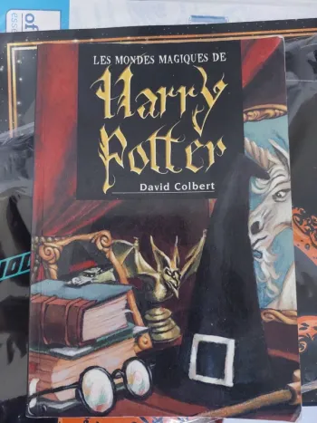 Les mondes magiques de harry potter