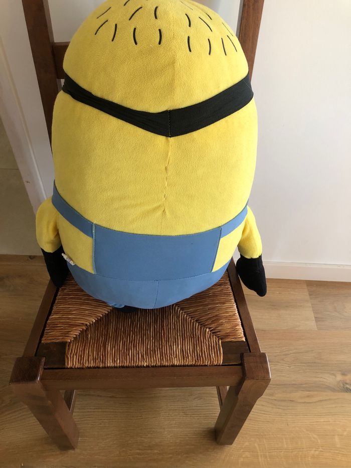 Minion - photo numéro 3