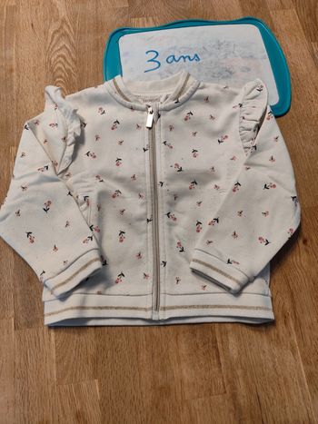 Gilet