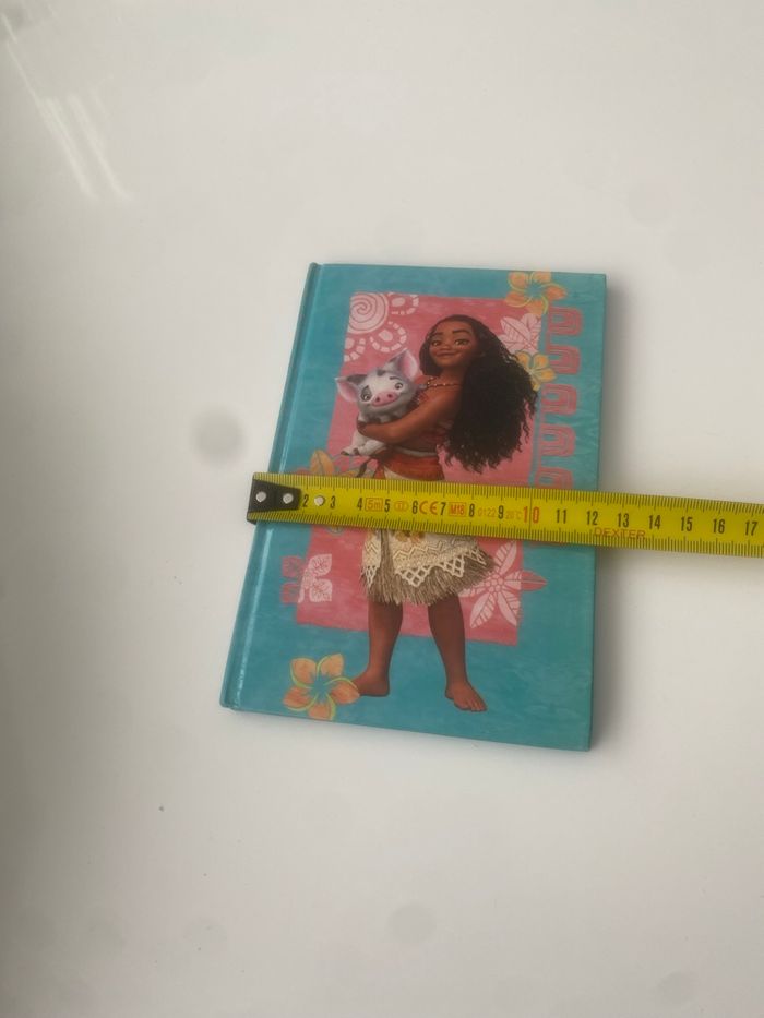 Carnet Vaiana - photo numéro 3