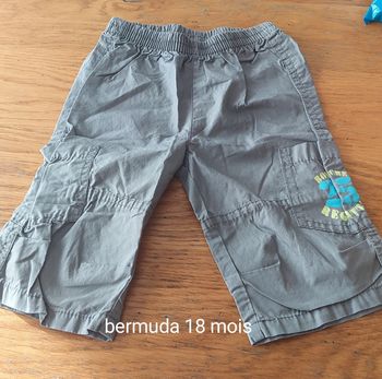 Bermuda 18 mois