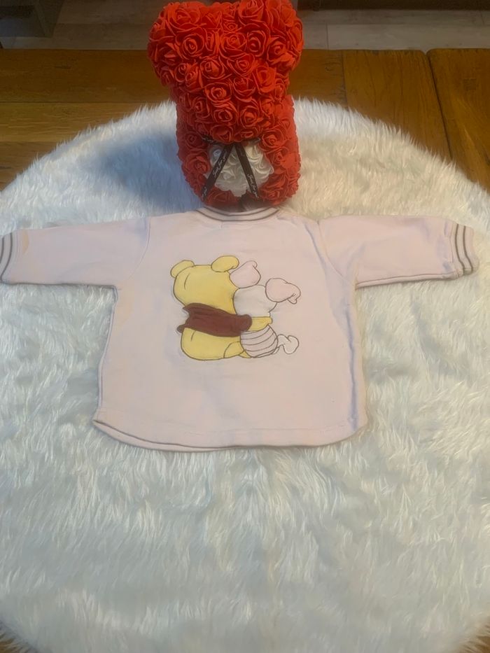 Sweat fille manches longues Winnie l’ourson 6mois - photo numéro 2