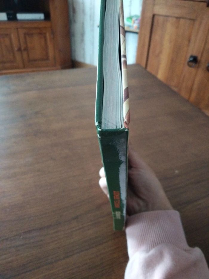 Livre Les buffets - photo numéro 7