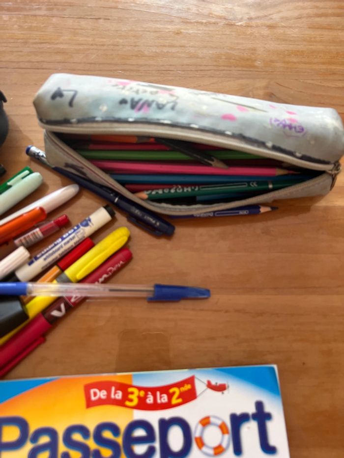Vend lot cahier de vacances et stylos - photo numéro 3