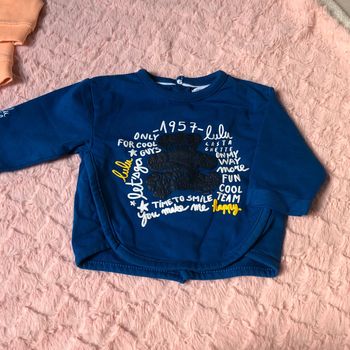 Pull sans capuche taille 3 mois  Très bon état !