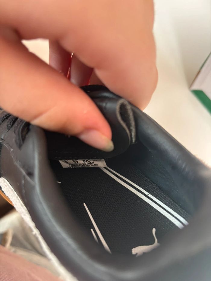 Puma Palermo - photo numéro 4