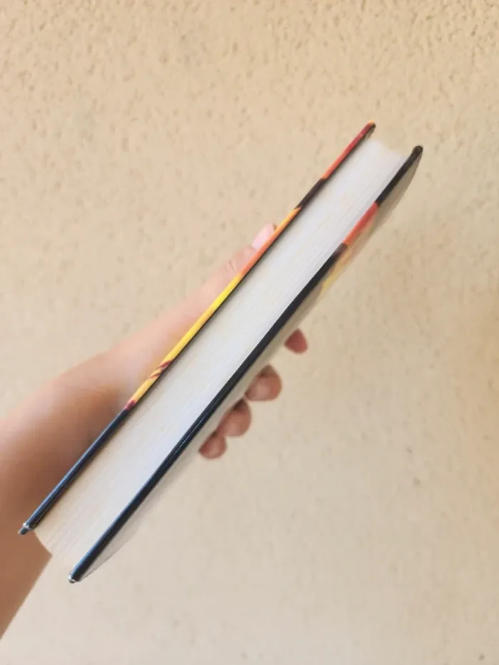 Livre broché "une seconde chance" de Mary Higgins Clark - photo numéro 6