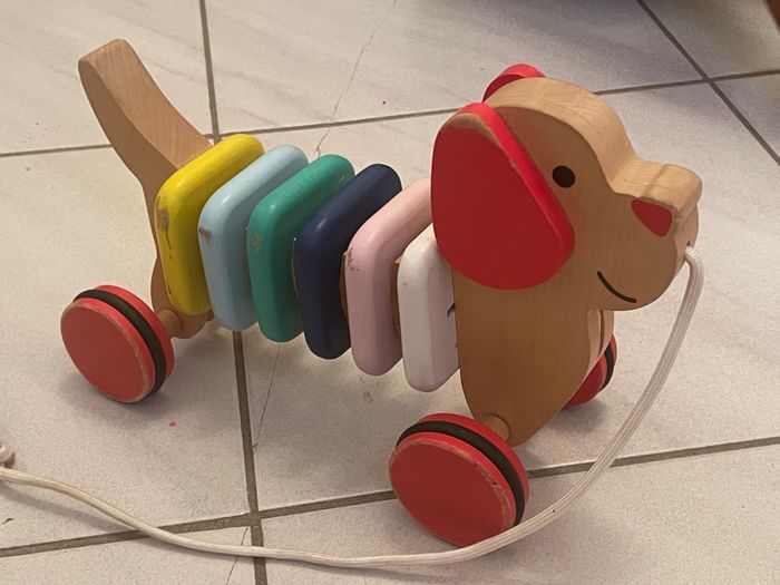 Chien à tirer