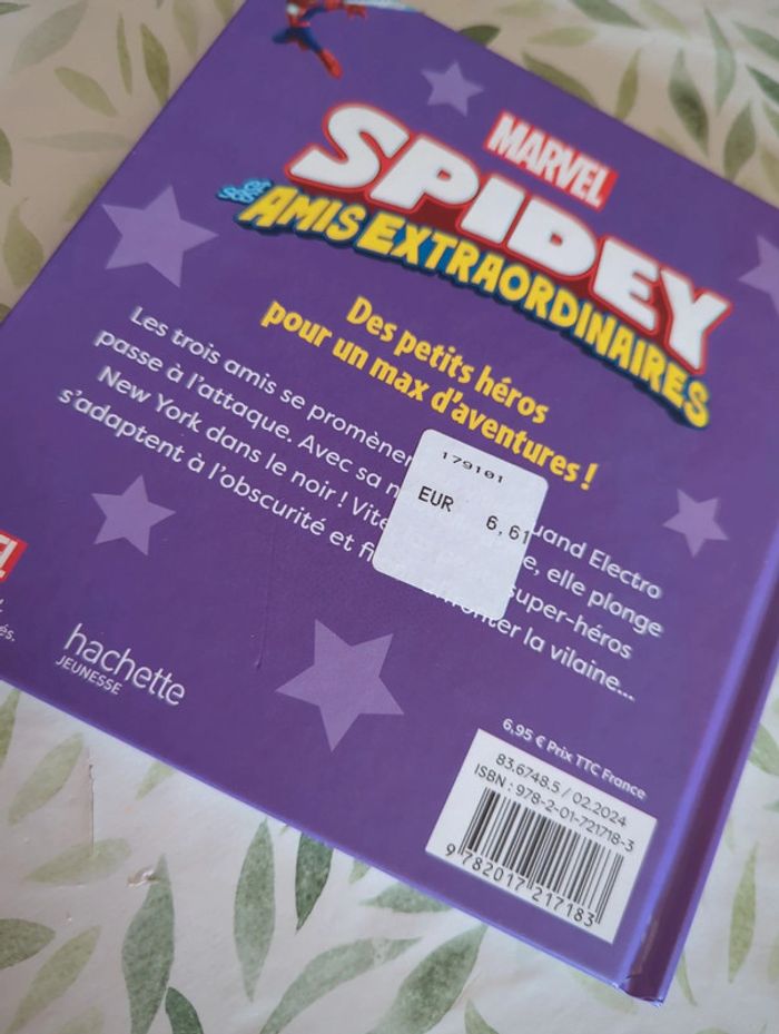 Livre spidey - photo numéro 2
