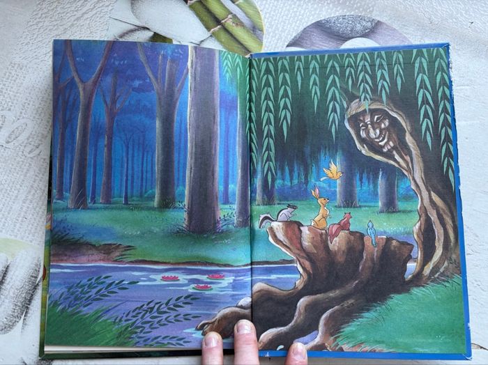 Livre Disney - photo numéro 4