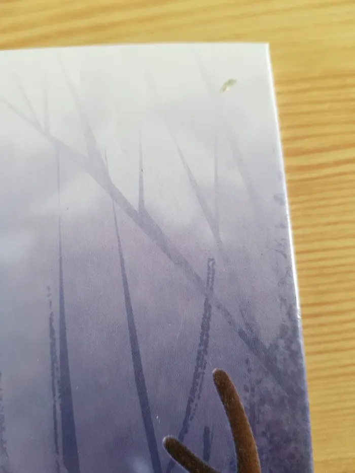 Classeur + cartes reine des neiges 🔄 - photo numéro 3