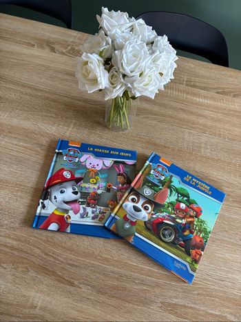 Lot de livre pat’patrouille