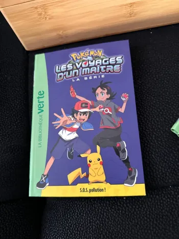 Les voyages d’un maître 16