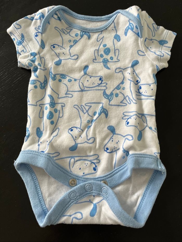 Body chien