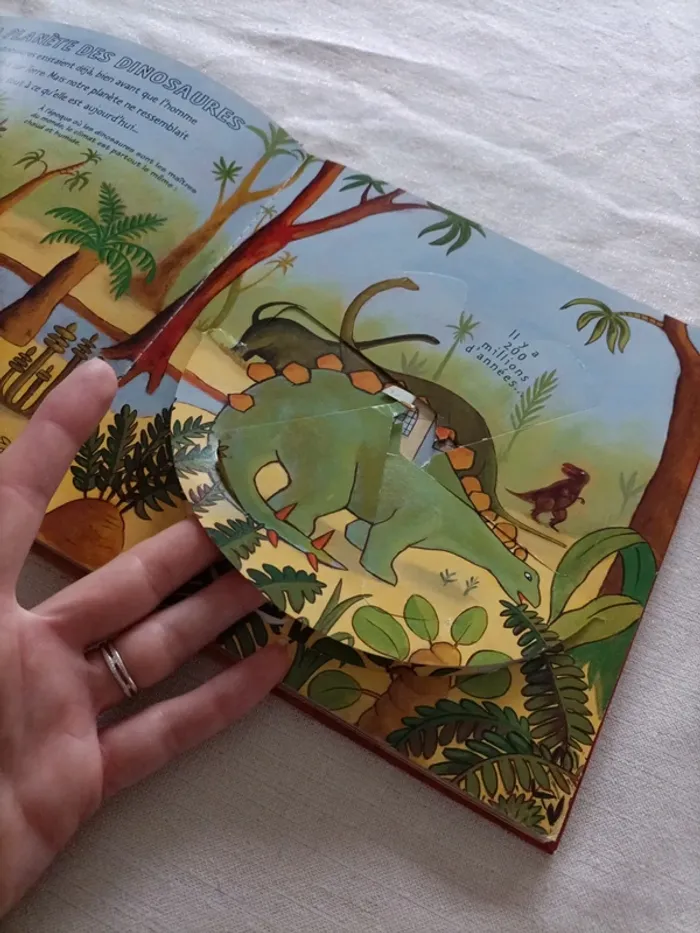 Livre Kididoc : Les dinosaures - photo numéro 8