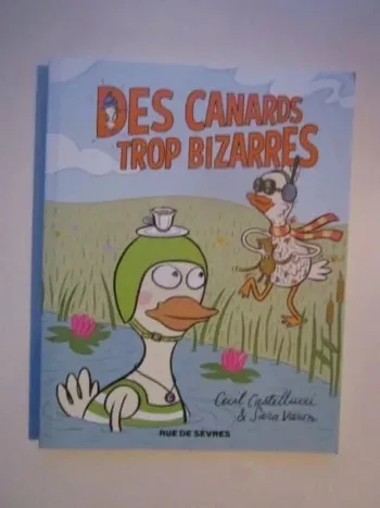 Des canards trop bizarres - Rue de Sèvres