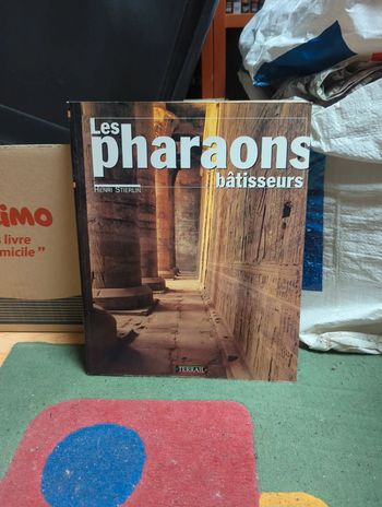 Les pharaons bâtisseurs