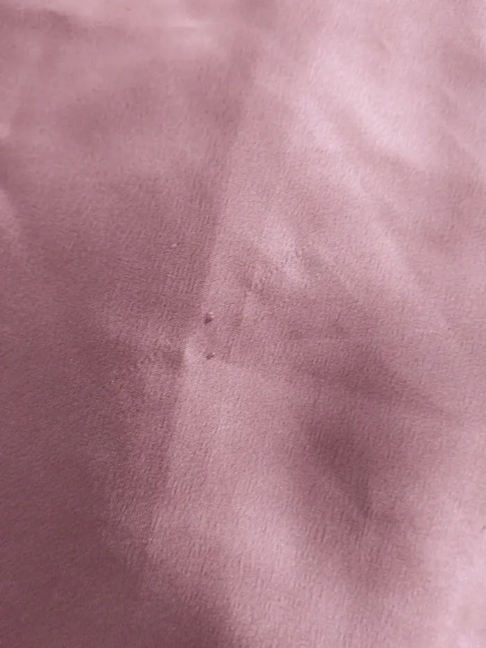 Nuisette - photo numéro 3