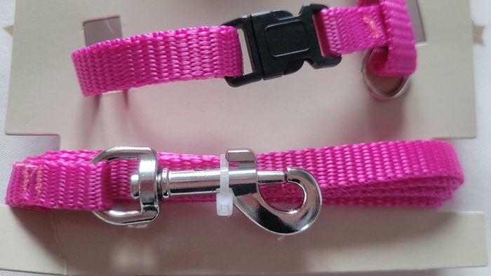 Laisse + harnais petits animaux - photo numéro 5