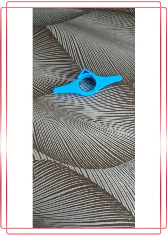 Bague de lecture - photo numéro 2