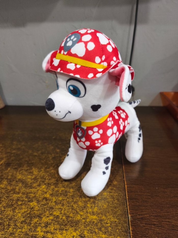 Pat patrouille - photo numéro 7