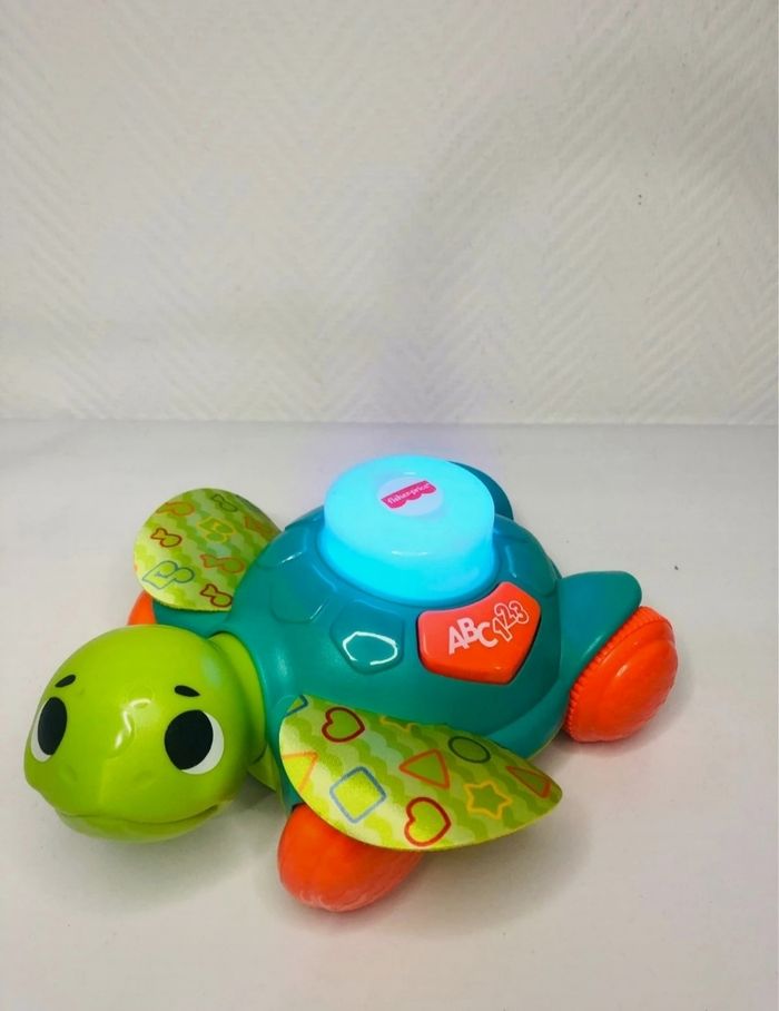 Manu la tortue - photo numéro 5